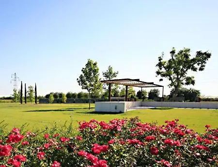 Letizia Verona